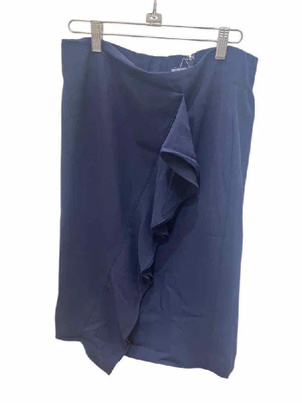 Overstock J Crew Navy Size 10 Skirt
